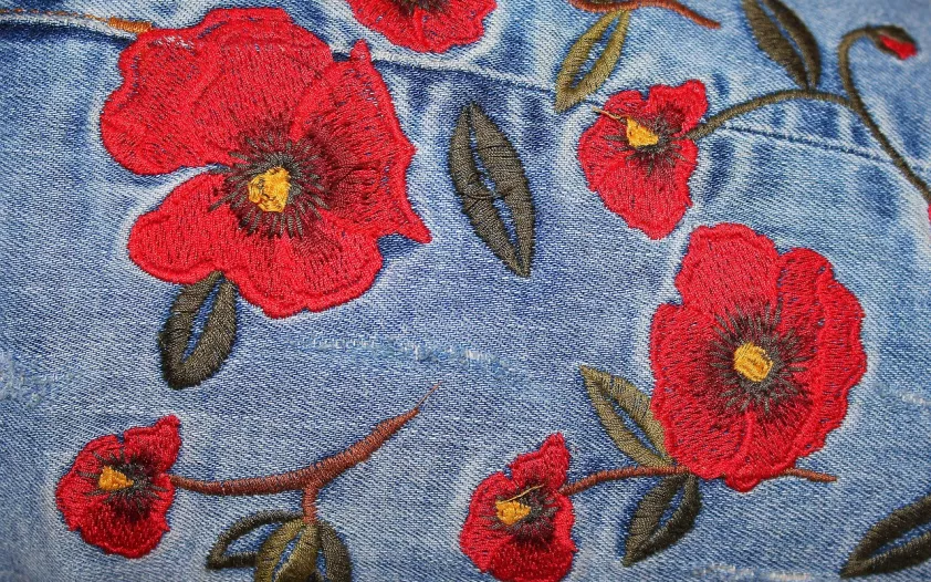 jeans embroidery ornament clothes